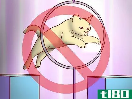 Image titled Choose Toys for a Senior Cat Step 5