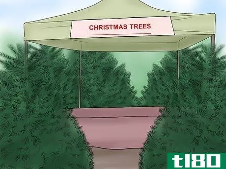 Image titled Create a Christmas Tree Forest Step 13
