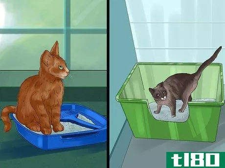 Image titled Choose a Litter Box for Your Cat Step 1