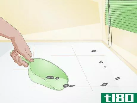 Image titled Clean up After Your Guinea Pig Step 9