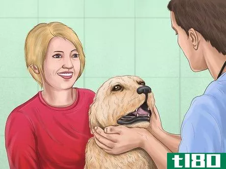 Image titled Comfort Your Dog Step 7