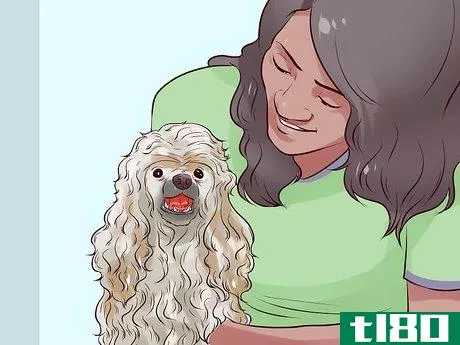 Image titled Choose a Hypoallergenic Dog Step 11