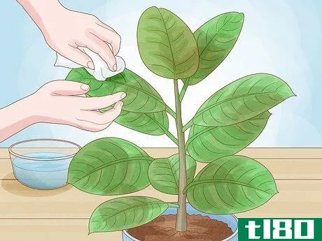 Image titled Clean Plant Leaves Step 1