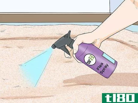 Image titled Deal with Persistent Feline Flea Problems Step 5