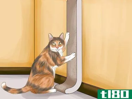 Image titled Choose a Scratching Post or Pad for Your Cat Step 13