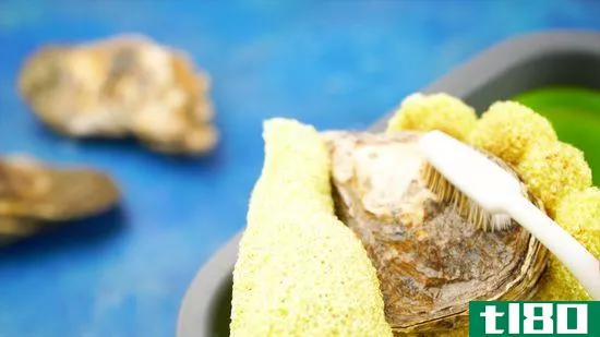 如何干净的牡蛎(clean oysters)