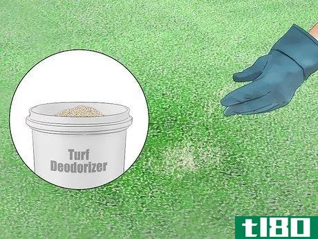 Image titled Clean Dog Urine Out of Artificial Grass Step 9