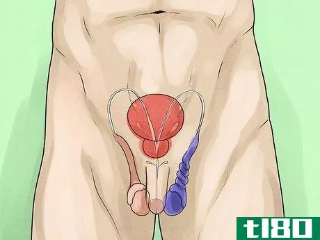Image titled Deal with Testicular Pain Step 8