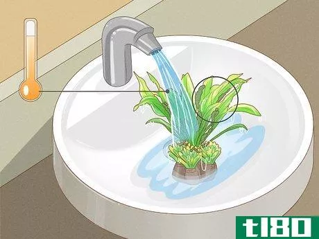 Image titled Clean Fake Plants Step 10