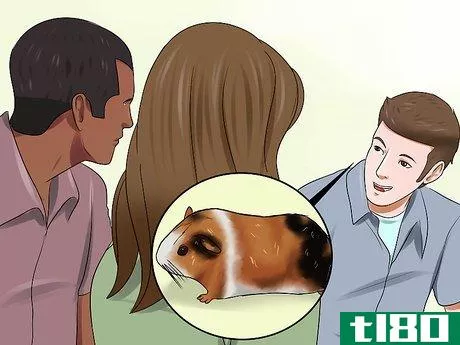 Image titled Convince Your Parents to Buy You a Guinea Pig Step 3