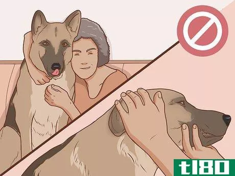 Image titled Communicate With Your Dog Step 16
