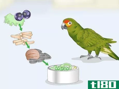 Image titled Deal with an Aggressive Amazon Parrot Step 2