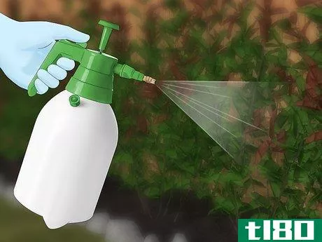 如何清洁花园喷雾器(clean a garden sprayer)