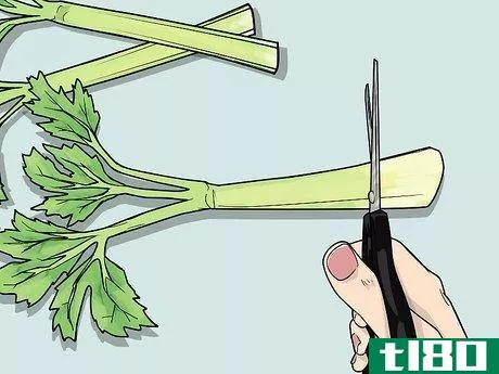 Image titled Change the Color of a Celery Stalk Step 3