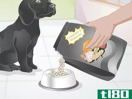 Image titled Create a Feeding Routine for Your Dog Step 10