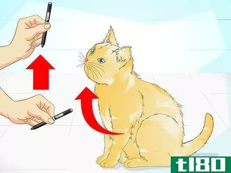 Image titled Clicker Train a Cat Step 19