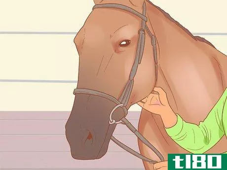 Image titled Check Whether Your Horse or Donkey Needs to See a Dentist Step 1