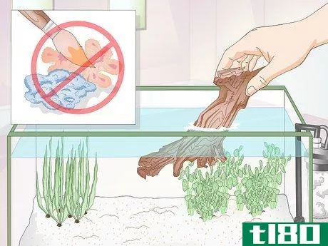 Image titled Creatively Decorate a Freshwater Fish Tank Step 11