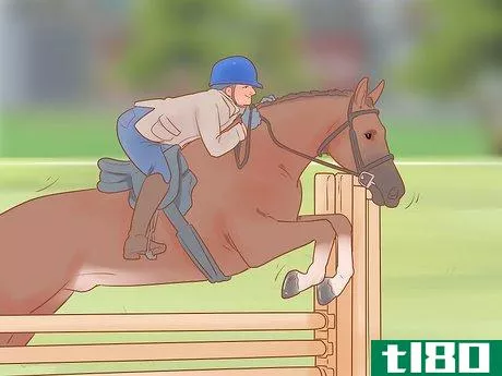 Image titled Choose a Riding Style or Equestrian Discipline Step 2
