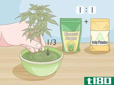 Image titled Clone a Marijuana Plant Without Rooting Hormone Step 4