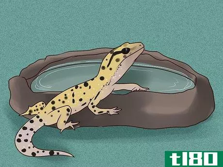 Image titled Care for a Leopard Gecko Step 8