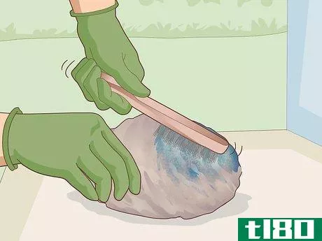 Image titled Clean Paua Shells Step 9