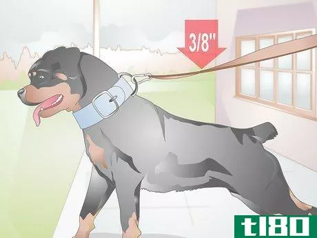 Image titled Choose a Dog Leash Step 10