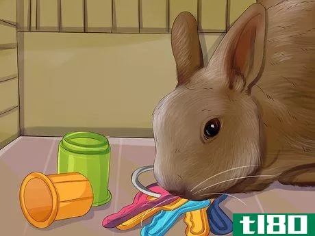 Image titled Choose Toys for Your Rabbit Step 3