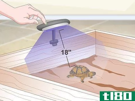 Image titled Create an Indoor Box Turtle Habitat Step 12
