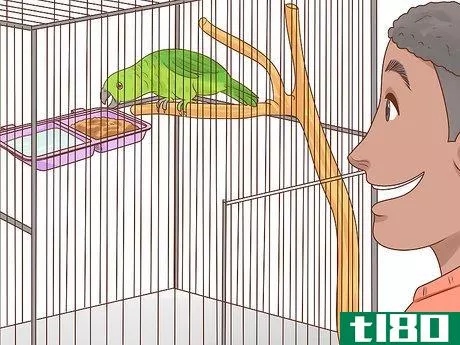Image titled Choose an Amazon Parrot Step 11