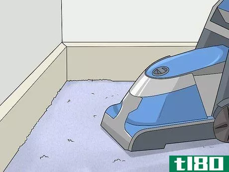 Image titled Clean Carpet Edges Step 11