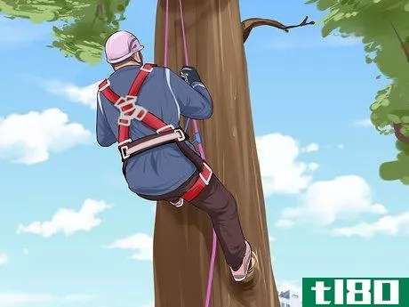 Image titled Climb a Tree Step 22