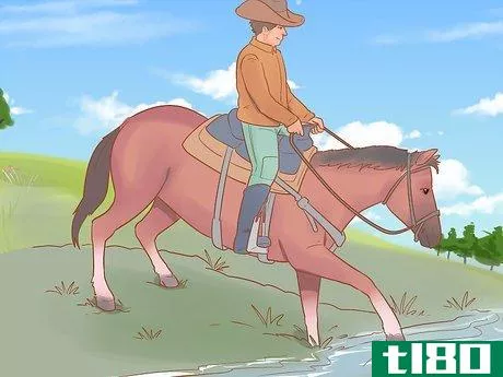 Image titled Choose a Riding Style or Equestrian Discipline Step 7