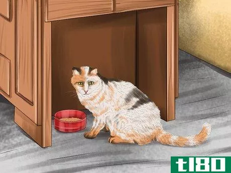 Image titled Choose the Right Place to Feed Your Cat Step 4