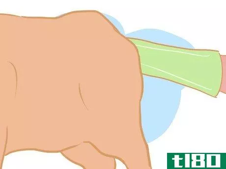 Image titled Collect Semen from a Bull for a Breeding Soundness Exam Step 5