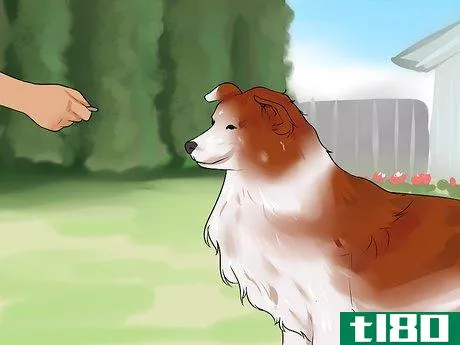 Image titled Choose the Right Dog Breed to Protect Your Home Step 11