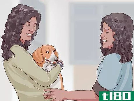 Image titled Choose a Hypoallergenic Dog Step 8