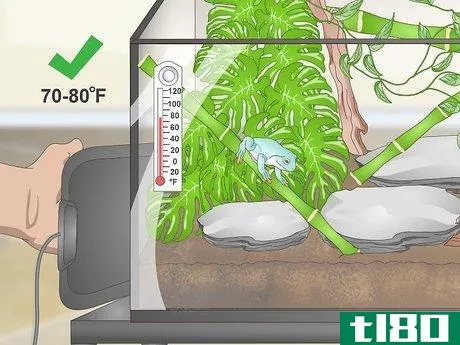 Image titled Create a White's Tree Frog Habitat Step 16