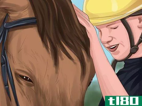 Image titled Choose a Horse for Therapeutic Riding Step 4