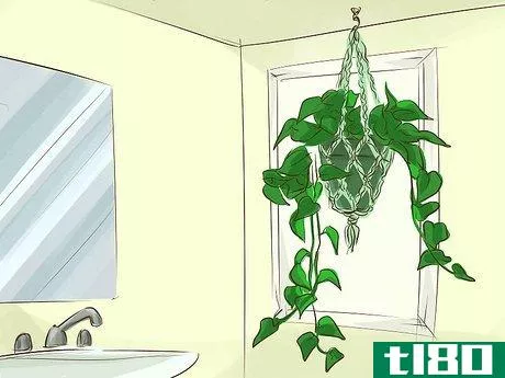 Image titled Choose Houseplants for the Bathroom Step 12