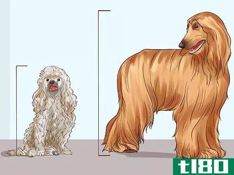 Image titled Choose a Hypoallergenic Dog Step 1
