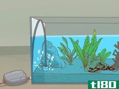 Image titled Decrease Aquarium Algae Naturally Step 2