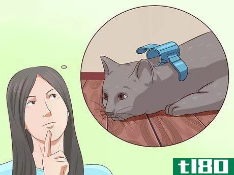 如何停用你的猫(deactivate your cat)