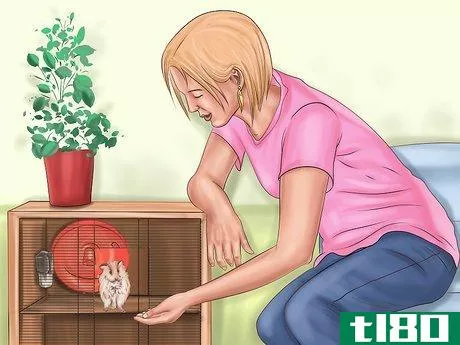 Image titled Create a Bond With Your Hamster Step 5