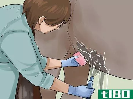Image titled Clean the Sheath of a Horse Step 10