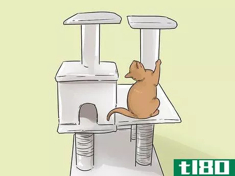 Image titled Change Your Cat's Routine Step 9