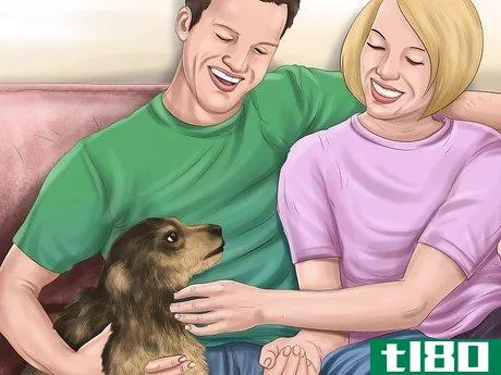 Image titled Comfort Your Dog Step 11