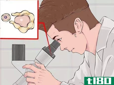 Image titled Choose an Ovulation Predictor Kit Step 4