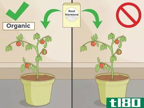 Image titled Clone Plants Step 3