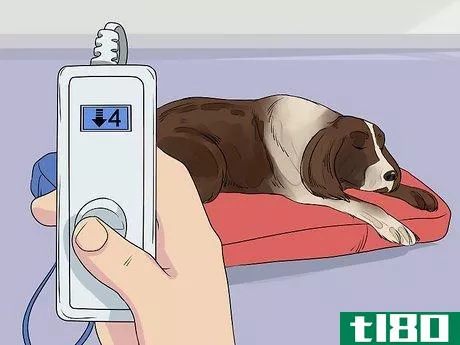 Image titled Deal with Morning Stiffness in Senior Dogs Step 5